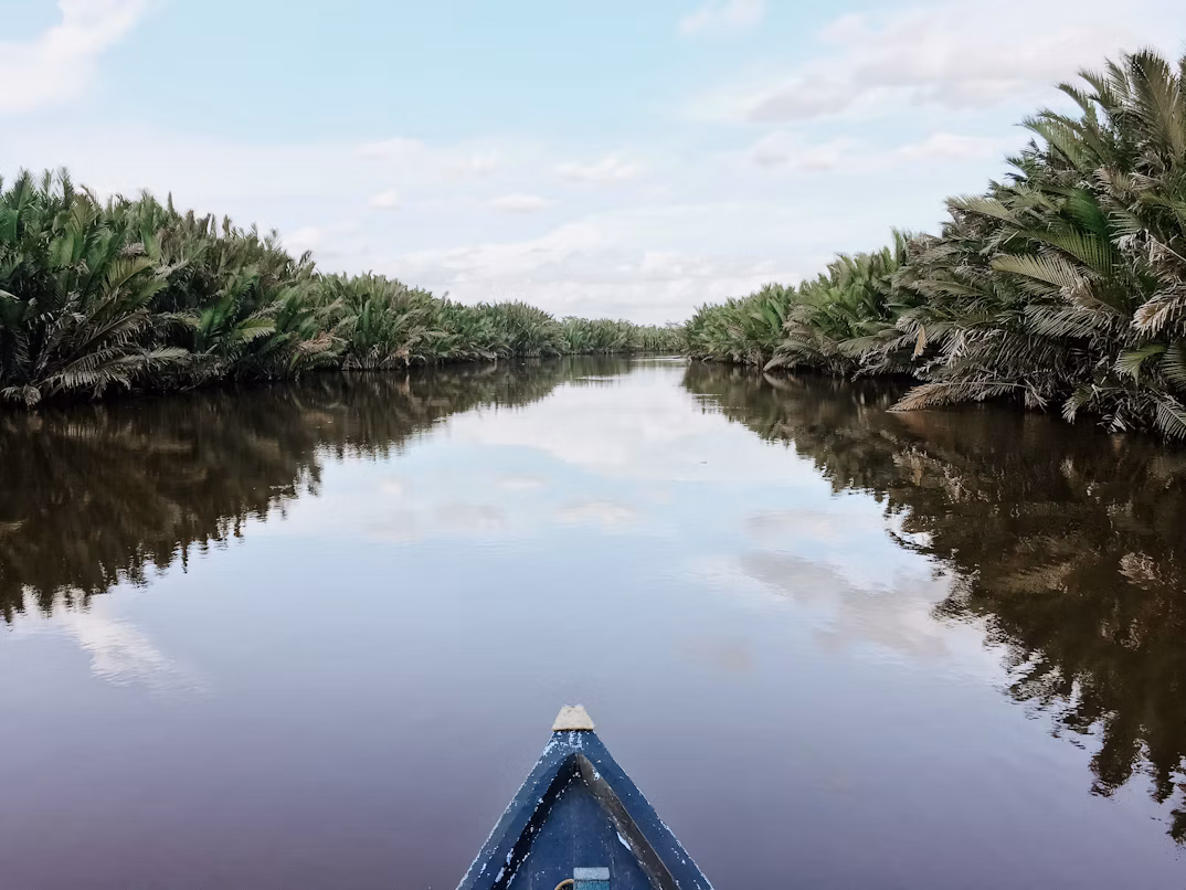 1st field-recording expedition